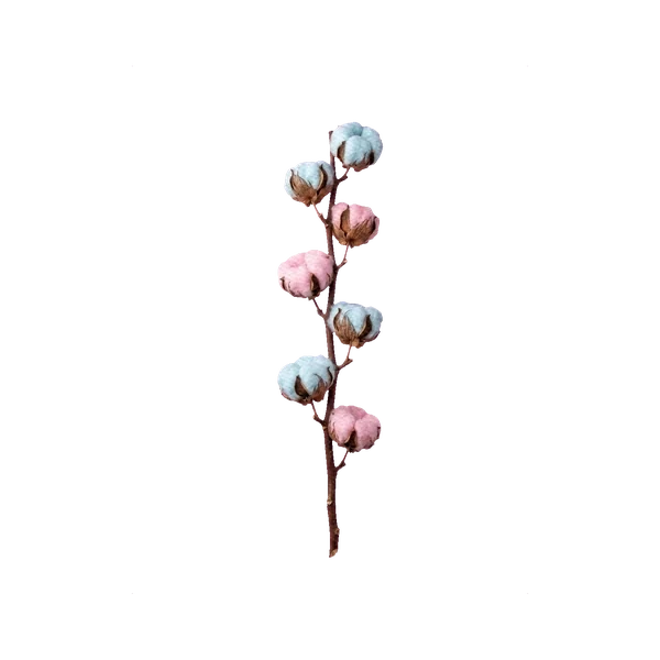 Cotton painted pastel