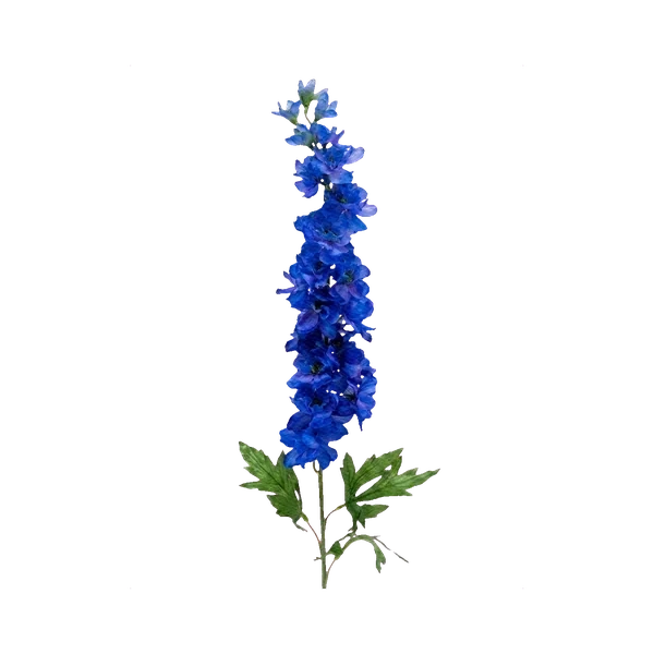Delphinium Centurion Cobalt