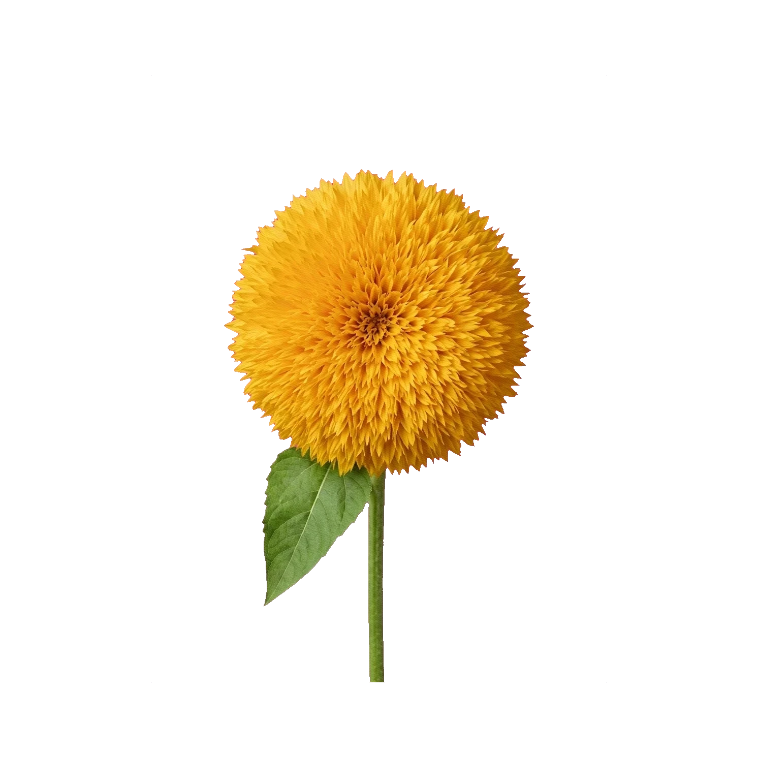 Sunflower Teddy Bear