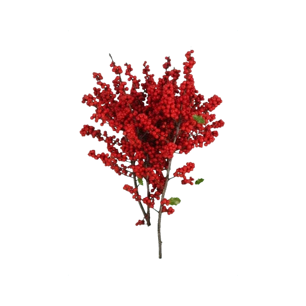 Ilex red