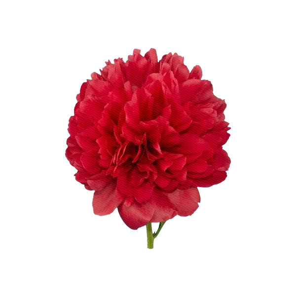 Peony Command Performance