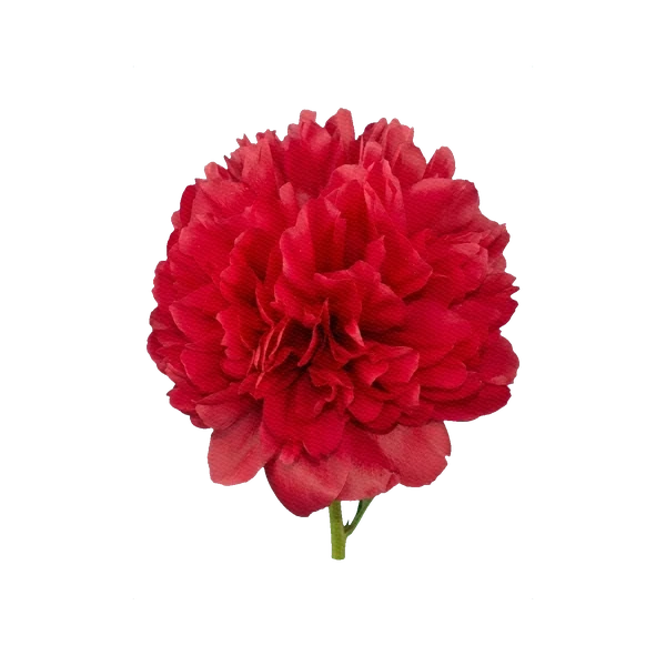 Peony Command Performance — Red Peony