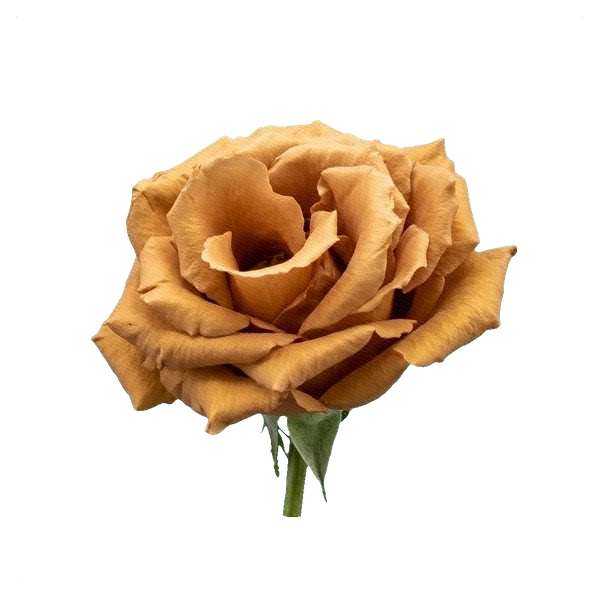 Rose Toffee — side